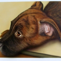Ina Simon: Wauzi (erstes Hundewelpenportrait). Ina Simon: Wauzi (erstes Hundewelpenportrait).