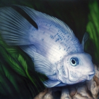Melanie Langenbach: Blaufisch. Melanie Langenbach: Blaufisch.