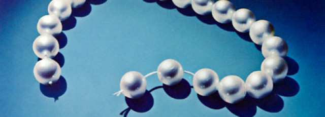 fi_lesergalerie 86_01